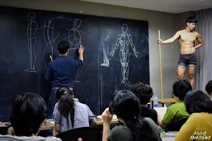 ART of Anatomy
