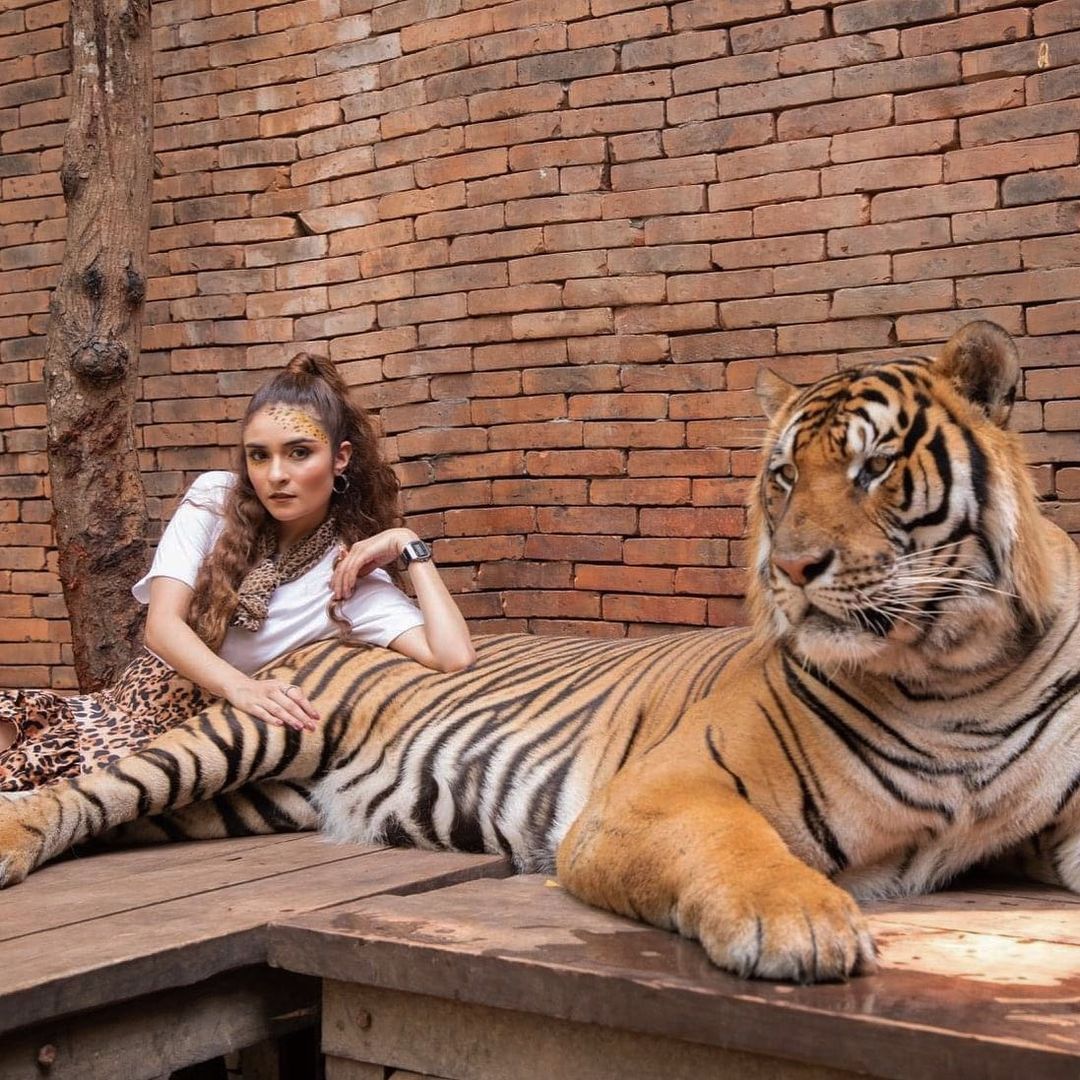 สาแก่ใจ