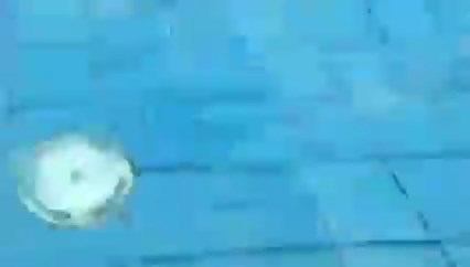 269838532_336486164979043_540_3