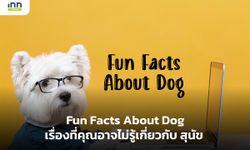 Fun Facts About Dog เรื่องที่คุณอาจไม่รู้เกี่ยวกับ สุนัข