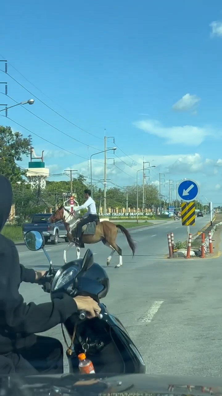 ขี่ม้าไปเรียน