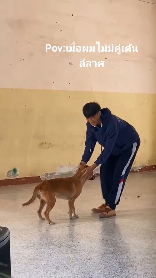 เต้นลีลาศกับหมา