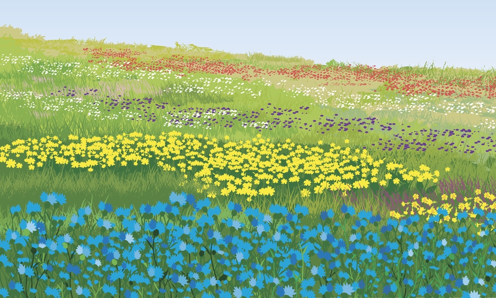 ทายนิสัยจากภาพที่เลือก