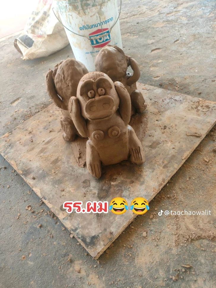 320692829_535552128596591_309