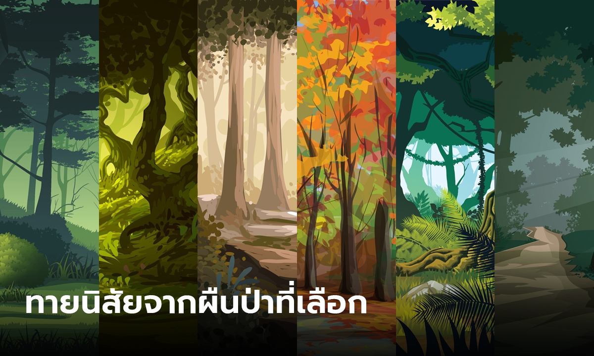 ทายนิสัย จากผืนป่าที่เลือก ช่วงเวลาท้องฟ้าที่ชอบบ่งบอกตัวตนคุณได้อย่างแม่นยำ