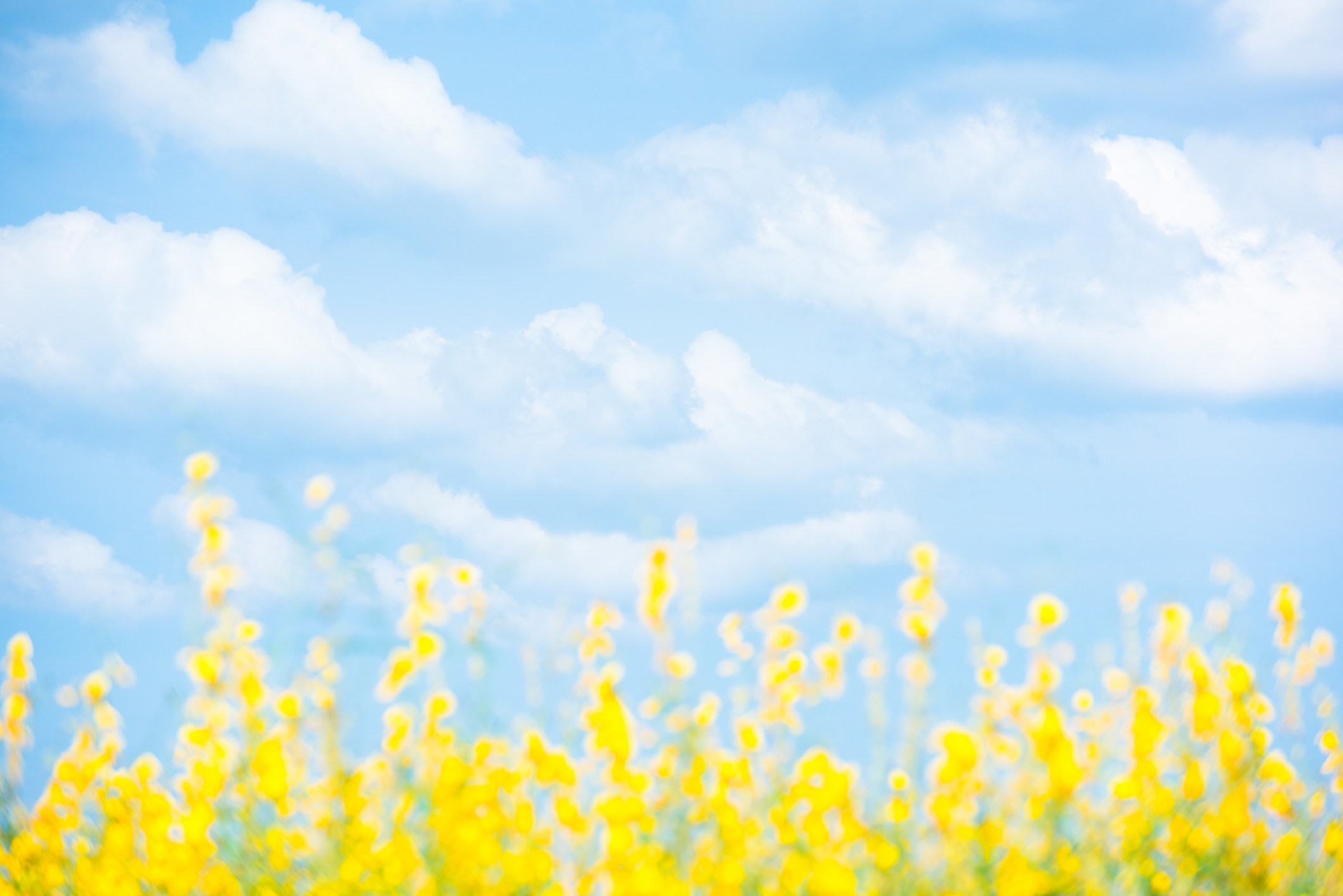 ทายนิสัยจากภาพที่รู้สึกผ่อนคลาย