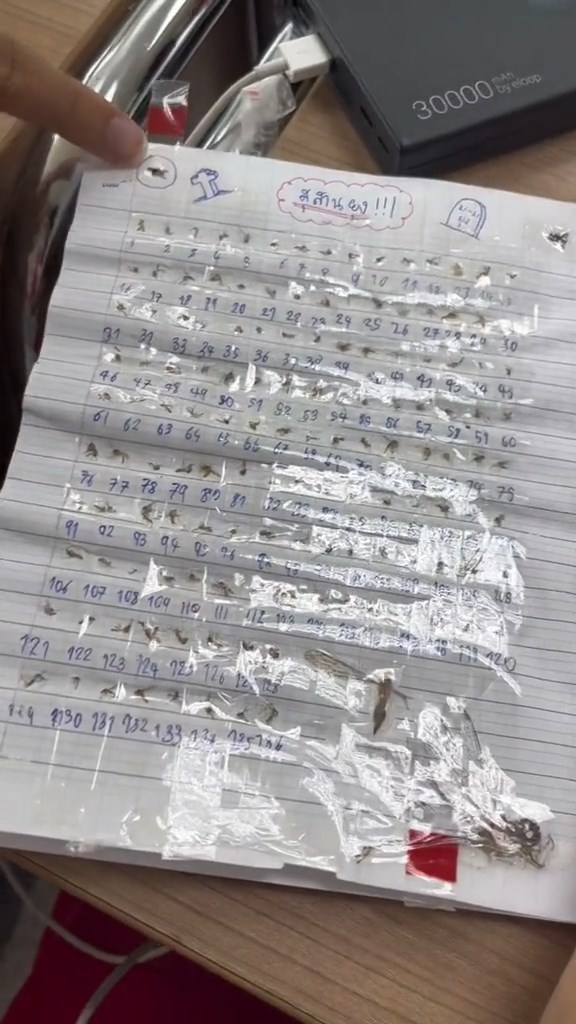 สุสานยุง