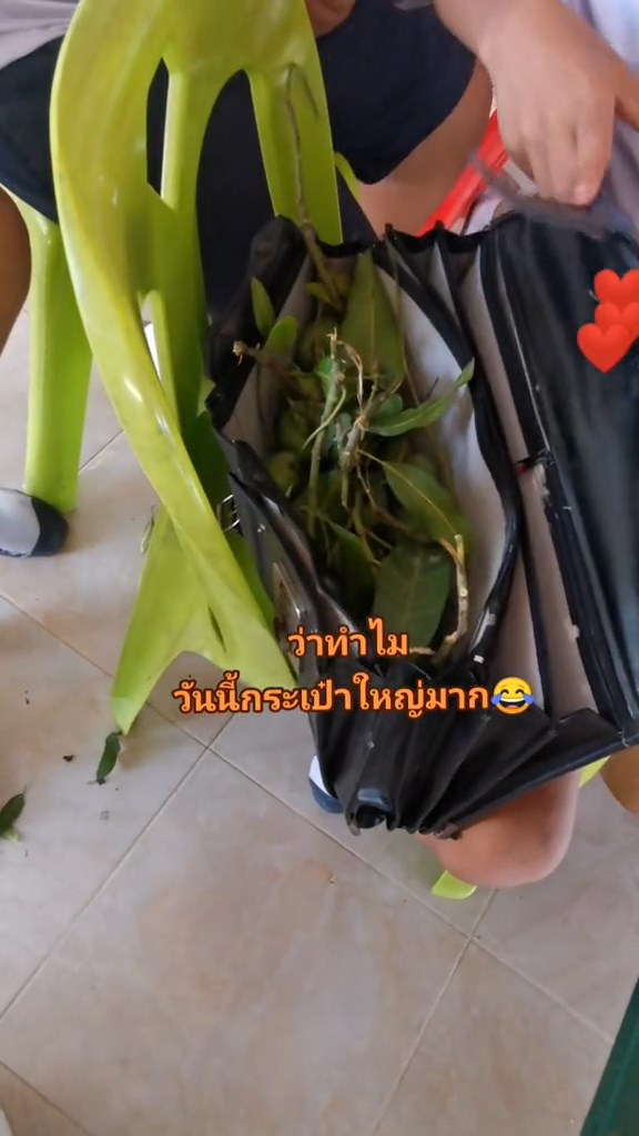 ตรวจกระเป๋านักเรียน