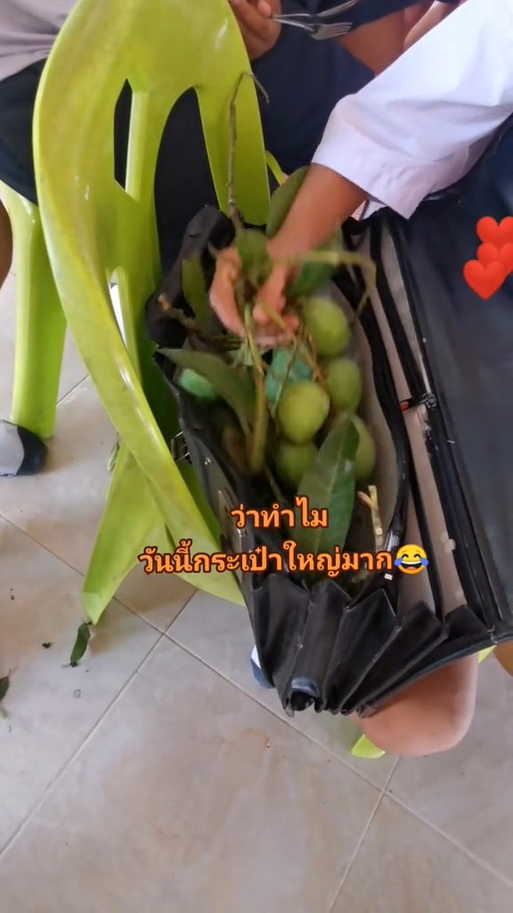 ตรวจกระเป๋านักเรียน