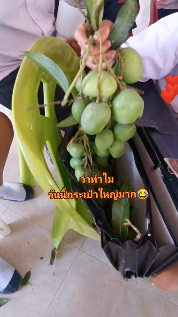 ตรวจกระเป๋านักเรียน