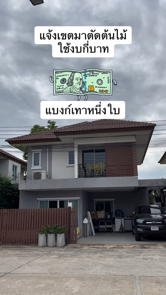 ตัดต้นไม้ในบ้าน