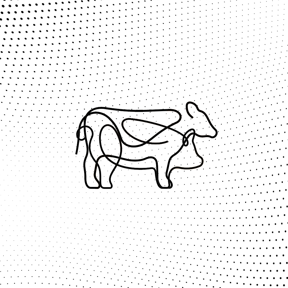 ทายนิสัยจากสิ่งที่เห็น