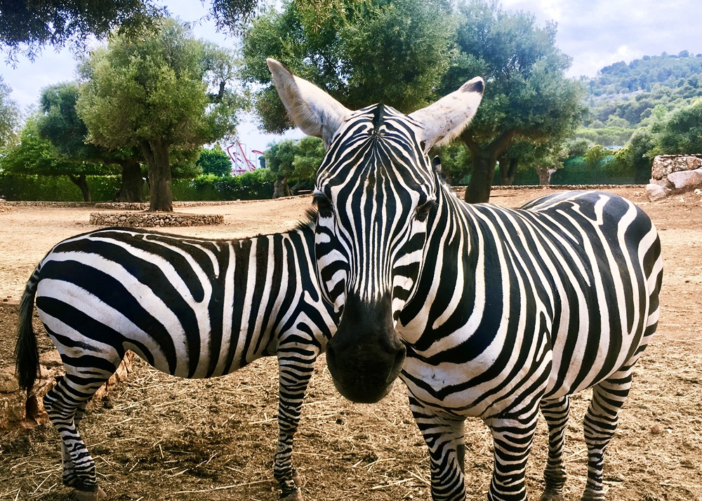 ทายนิสัยจากสิ่งที่เห็น