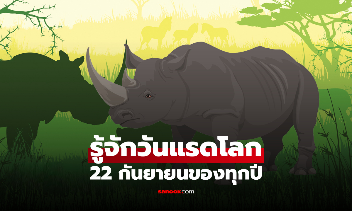 รู้จักวันแรดโลก 22 กันยายน ที่มา ความหมาย และเหตุผลที่ควรร่วมอนุรักษ์