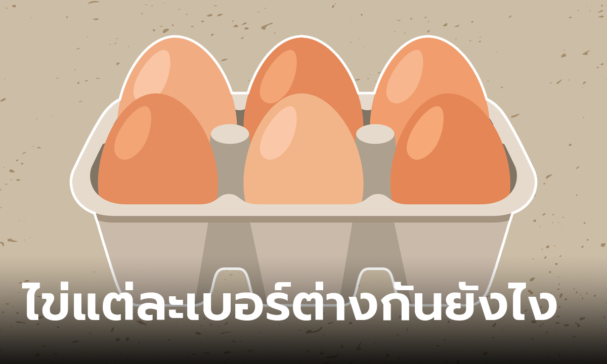 เฉลยแล้ว! ไข่ไก่แต่ละเบอร์ต่างกันยังไง และเหมาะกับการทำอาหารแบบไหน