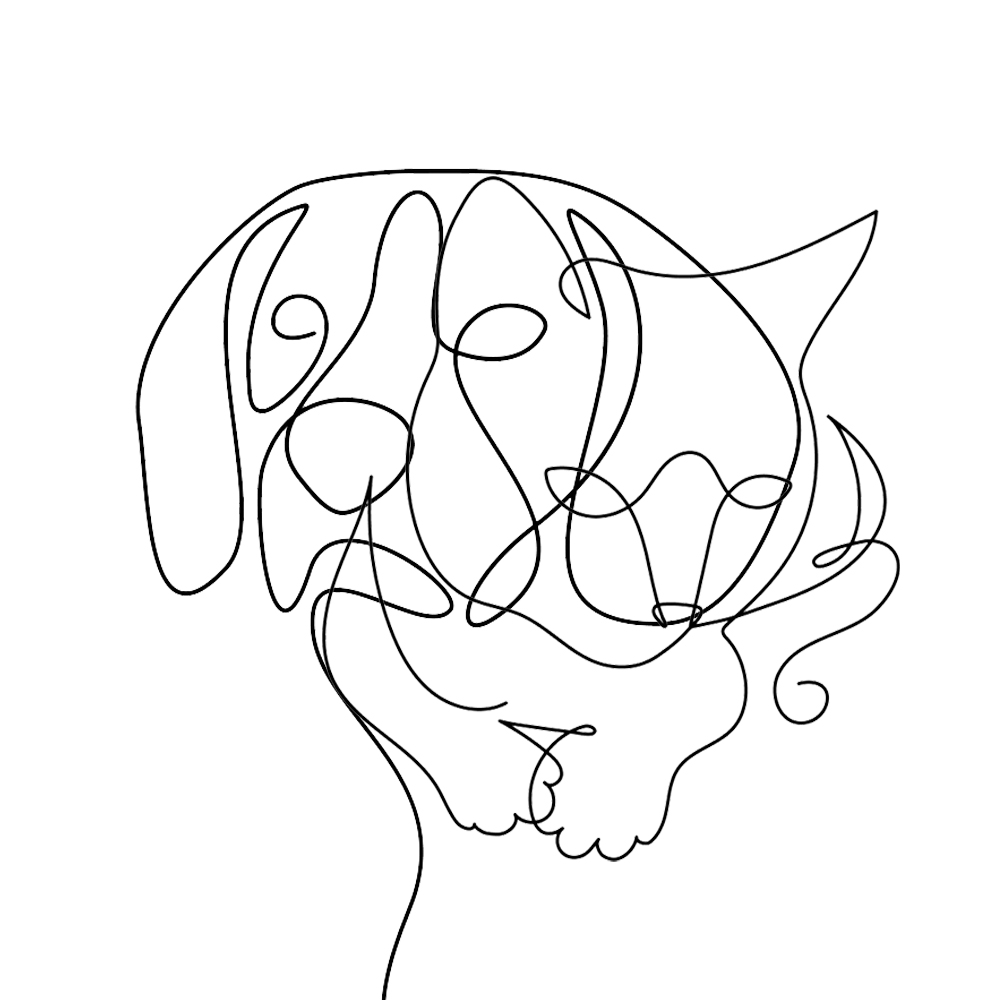 ทายนิสัยจากสิ่งที่เห็น