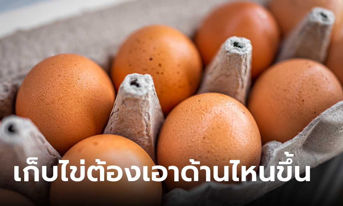 เฉลยแล้ว! ควรเก็บไข่ยังไง เอาด้านไหนขึ้น ถึงจะช่วยยืดอายุไข่ให้นาน