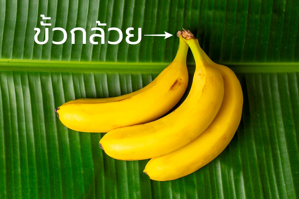 วิธียืดอายุกล้วยไม่ให้สุกไว 