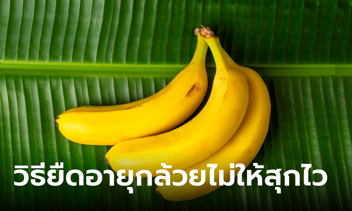 เฉลยแล้ว!  วิธียืดอายุกล้วย ไม่ให้สุกไว เก็บยังไงถึงทำให้กล้วยกินได้นานๆ