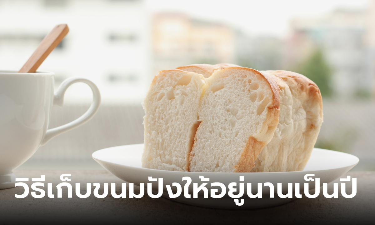 เคล็ดลับที่หลายคนไม่รู้ วิธีเก็บขนมปัง ให้อยู่ได้นานเป็นปี ไม่ต้องกลัวขึ้นรา