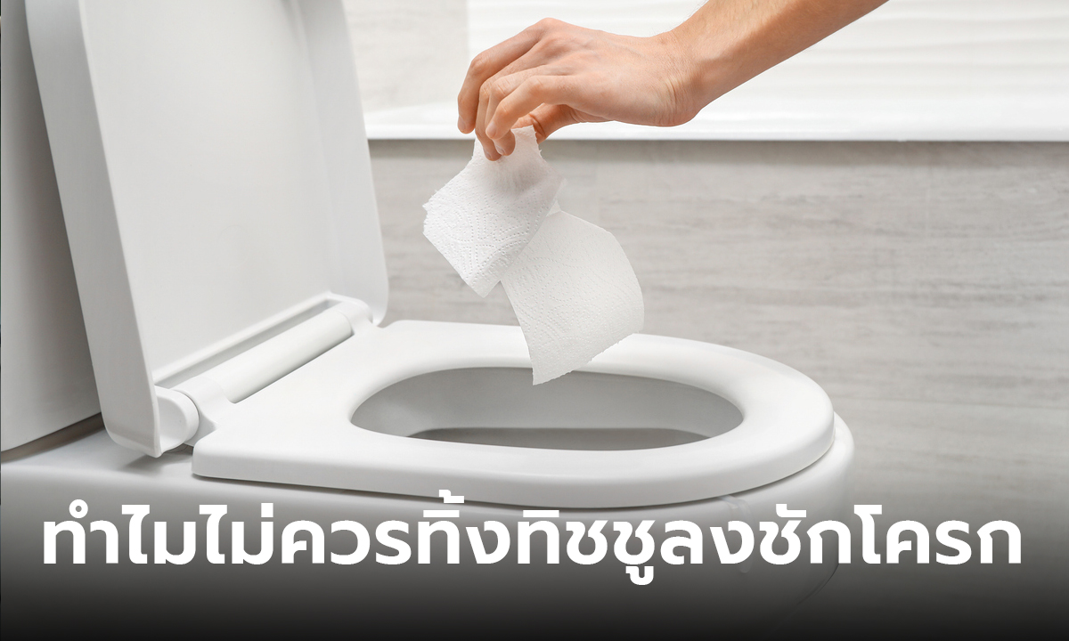 ไขข้อข้องใจ ทำไมประเทศไทยไม่ควรทิ้งทิชชูลงชักโครก ไม่เหมือนต่างประเทศ