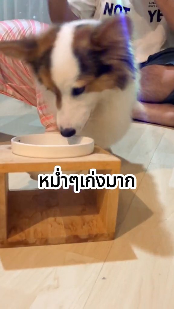 นปโปะหม่ำๆ