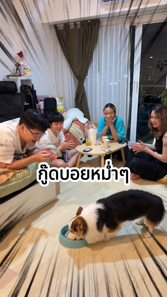 นปโปะหม่ำๆ