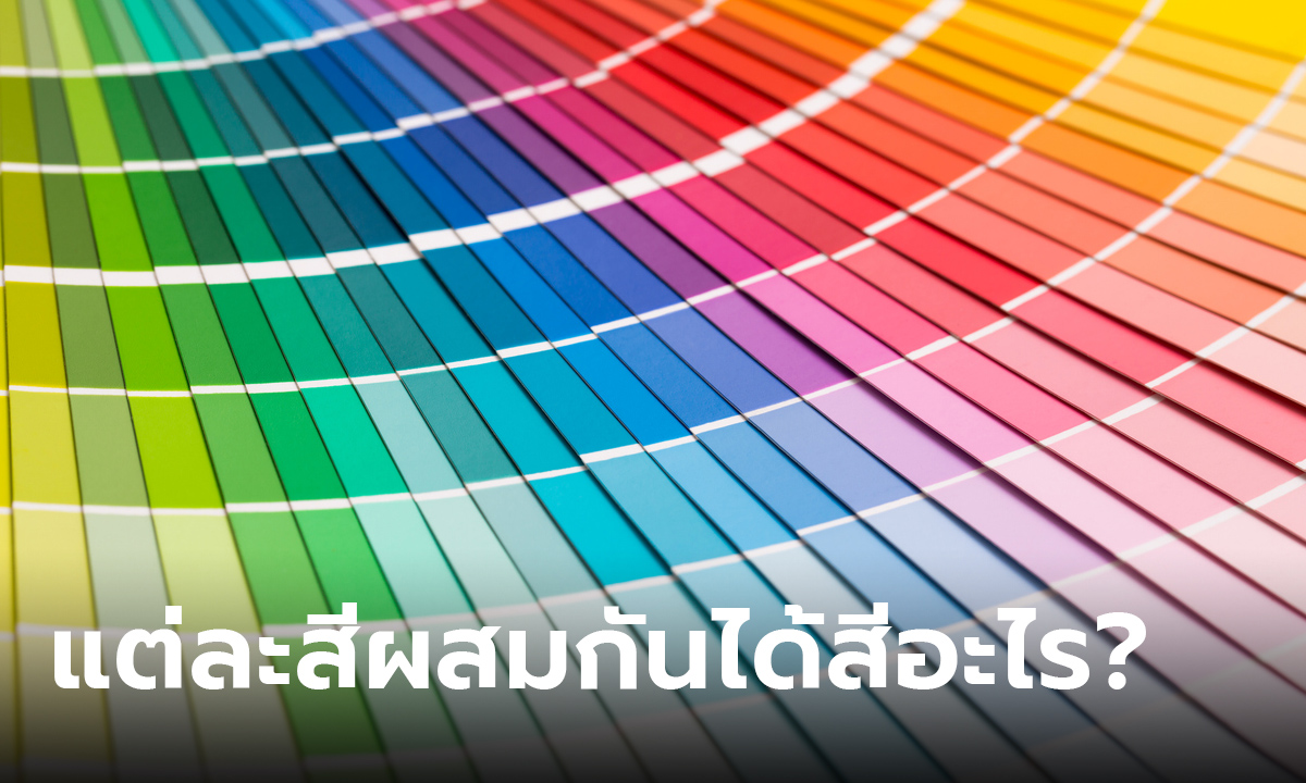 เปิดคัมภีร์ผสมสี แต่ละสีผสมกันแล้วได้สีอะไร และแม่สีคืออะไร รวมมาให้แล้ว