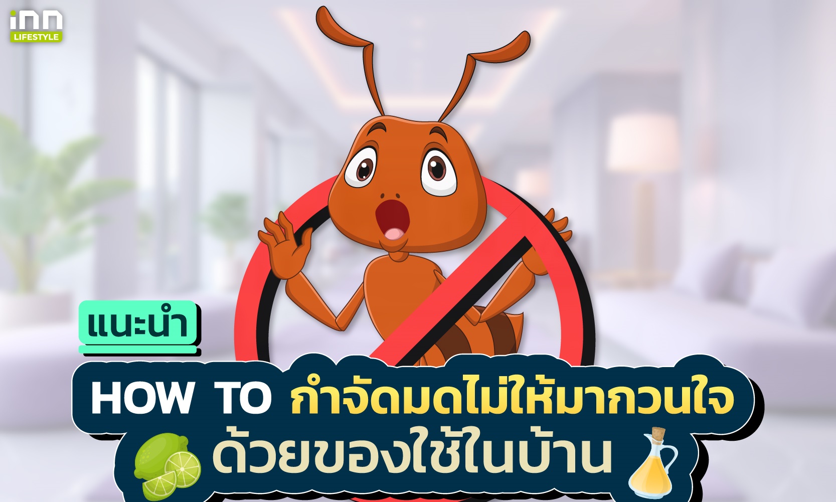 แนะนำ How To กำจัดมดไม่ให้มากวนใจ ด้วยของใช้ในบ้าน