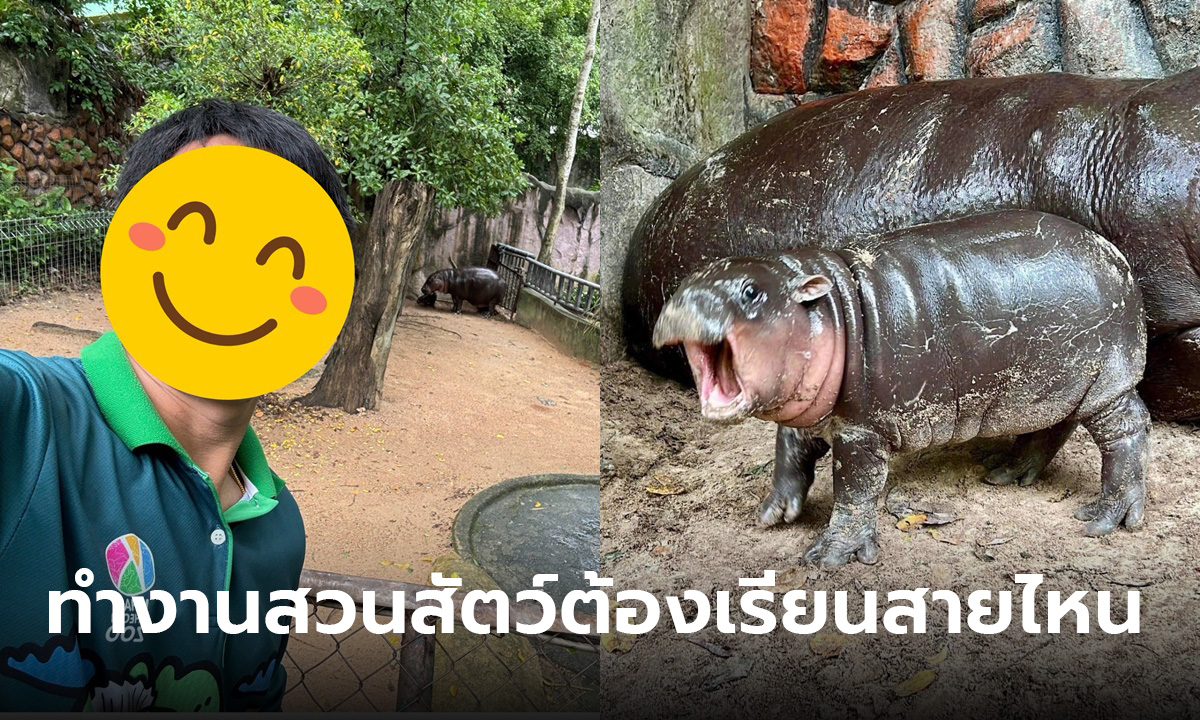 อยากทำงานดูแลสัตว์ในสวนสัตว์ ดูแลหมูเด้ง ต้องเรียนสายไหน