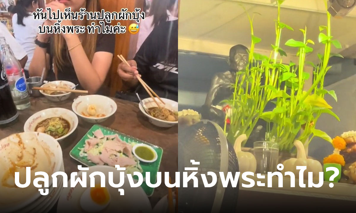 ลูกค้าสงสัย ร้านก๋วยเตี๋ยวอนุสาวรีย์ ปลูกผักบุ้งบนหิ้งพระ คำตอบคือร้องอ๋อ!