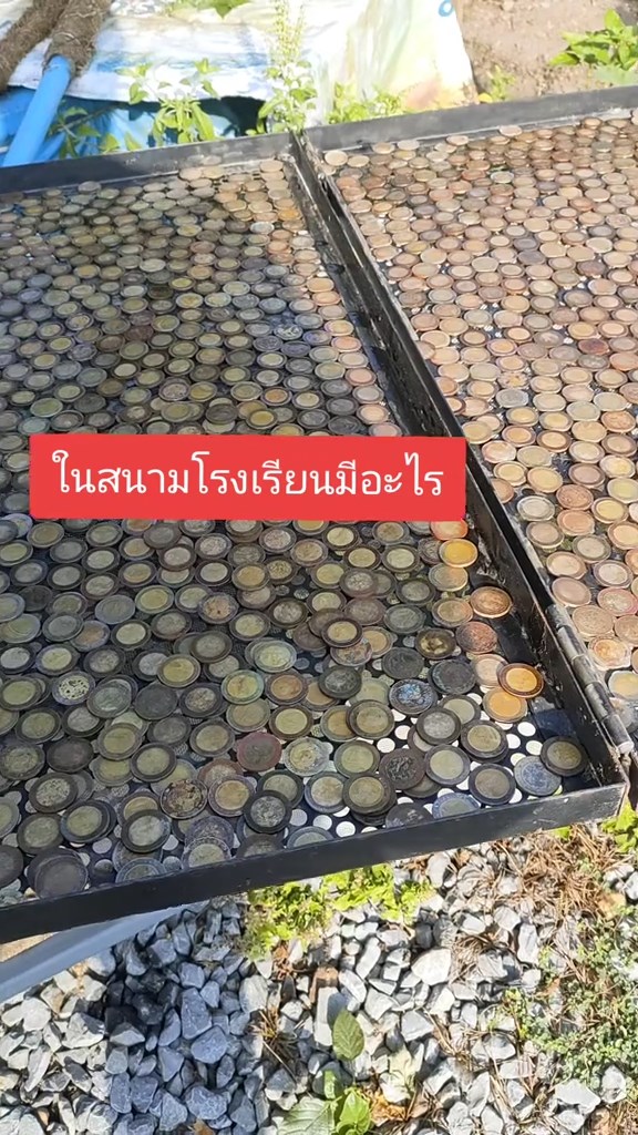 ล่าสมบัติในโรงเรียน