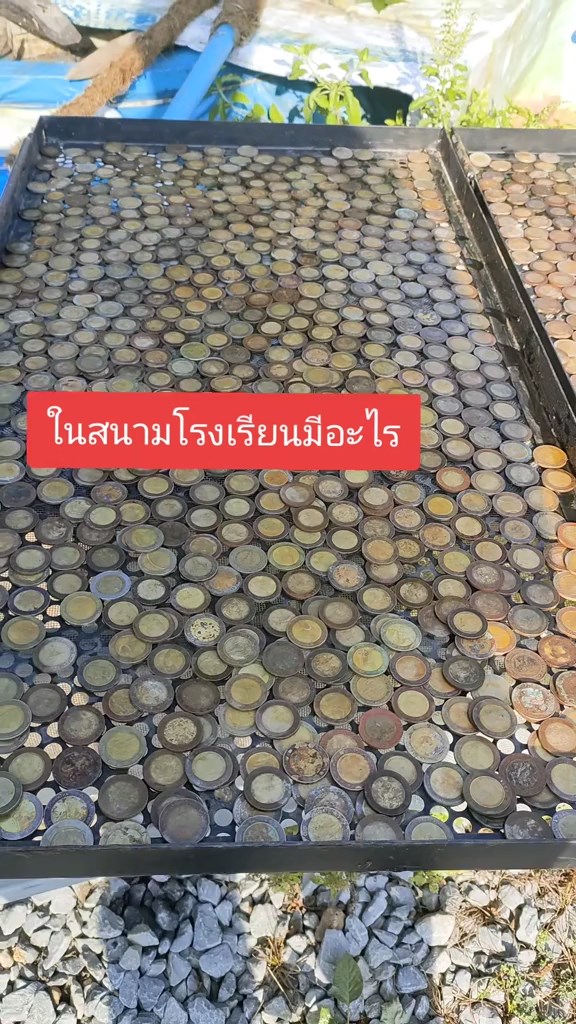 ล่าสมบัติในโรงเรียน