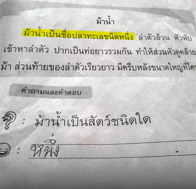 ม้าน้ำเป็นสัตว์ชนิดใด?