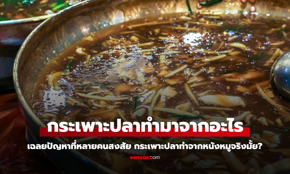 เฉลยแล้ว! กระเพาะปลาทำมาจากอะไร ไม่ได้มาจากหนังหมูที่หลายคนคิดนะ