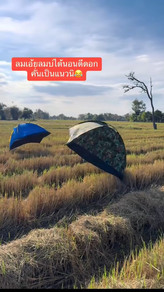 เต็นท์ กางเต็นท์กลางทุ่งนา