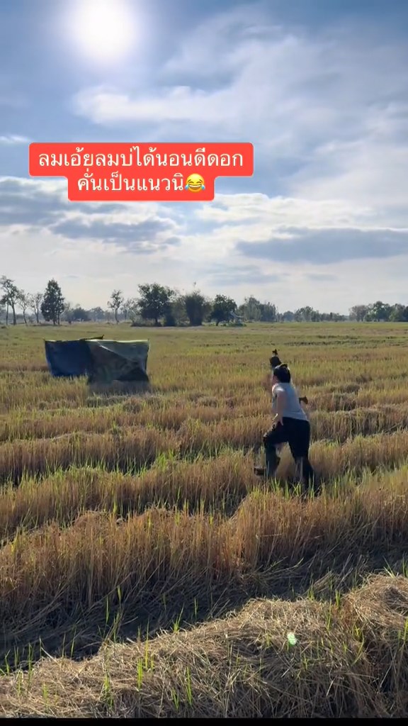 เต็นท์ กางเต็นท์กลางทุ่งนา