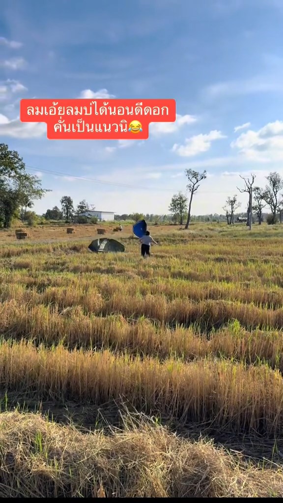 เต็นท์ กางเต็นท์กลางทุ่งนา