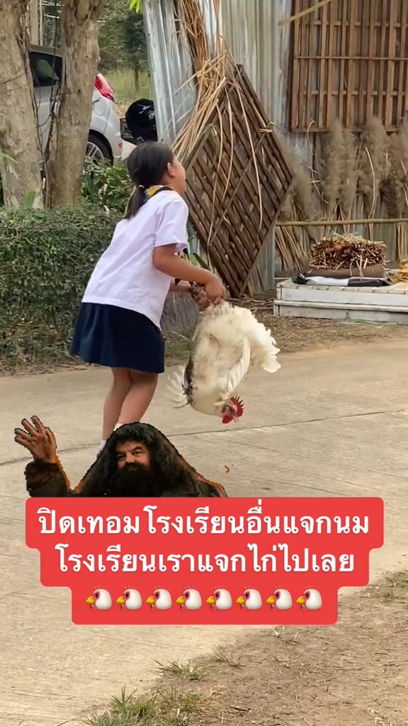แจกไก่นักเรียน