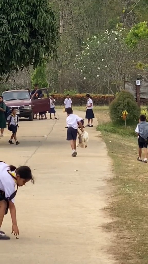 แจกไก่นักเรียน