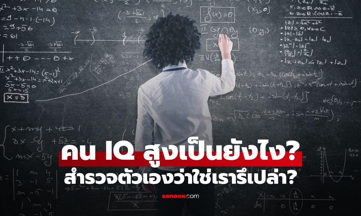 คน IQ สูงเป็นยังไง? สำรวจตัวเองด้วย 7 สัญญาณที่บอกว่าคุณอาจเป็นคน IQ สูง