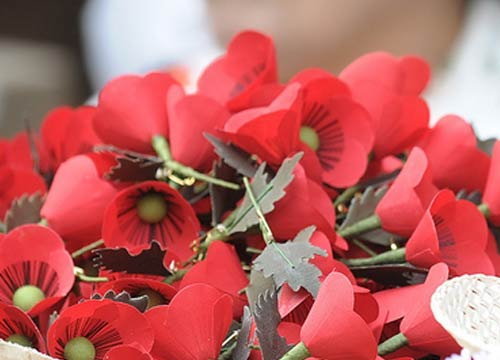 ดอกป๊อปปี้