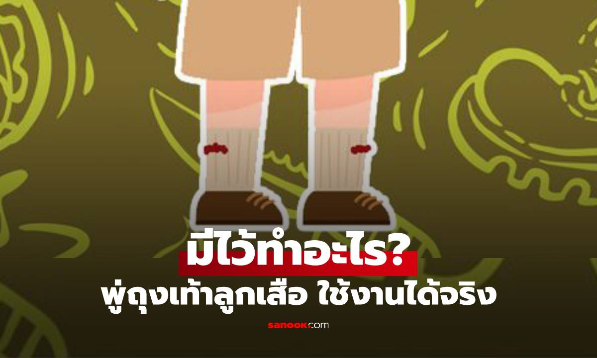 พู่ถุงเท้าลูกเสือ มีไว้ทำอะไร? ไม่ได้มีไว้แค่ตกแต่ง แต่ใช้งานได้จริง