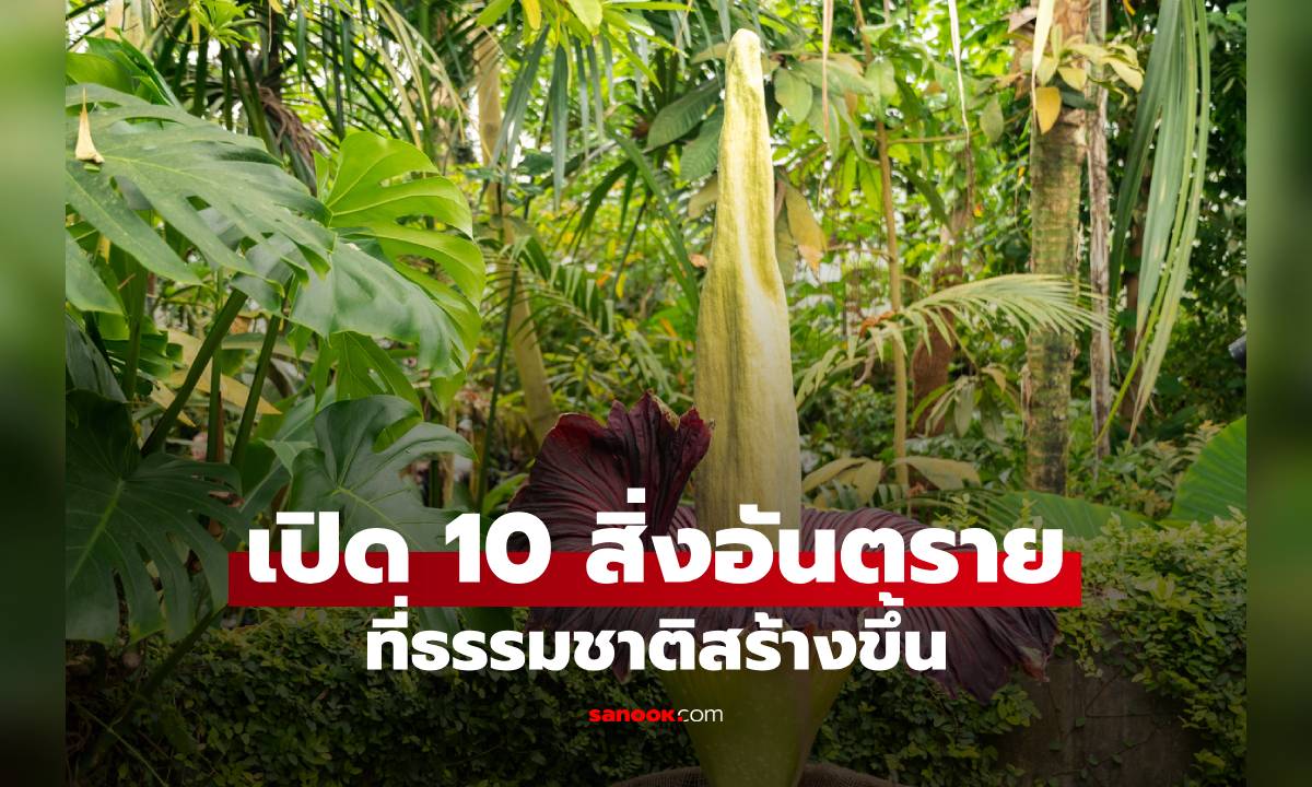 เปิด 10 สิ่งอันตรายที่ธรรมชาติสร้างขึ้น บางอย่างตัวเล็ก แต่คร่าชีวิตคนได้มากกว่าที่คิด