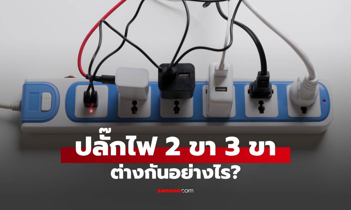 ทำไมปลั๊กไฟบางตัวมี 2 ขา บางตัวมี 3 ขา ต่างกันอย่างไร?