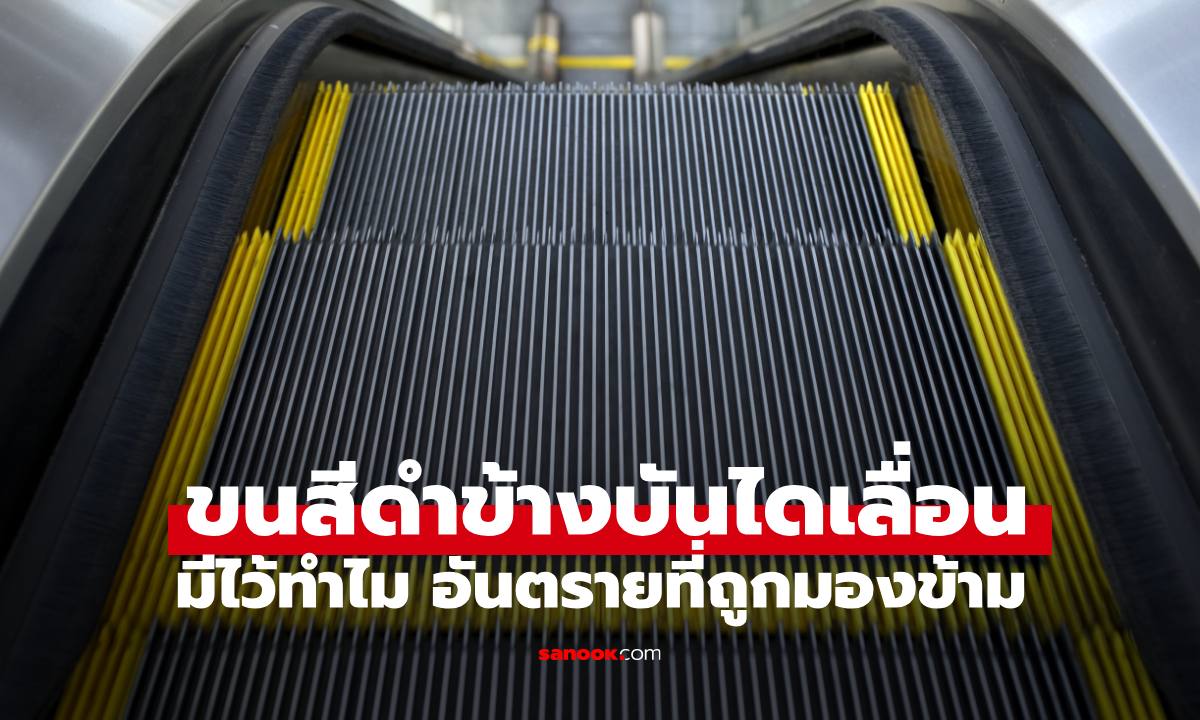 เฉลยแล้ว! ขนสีดำข้างบันไดเลื่อนมีไว้ทำไม อันตรายที่หลายคนมองข้าม