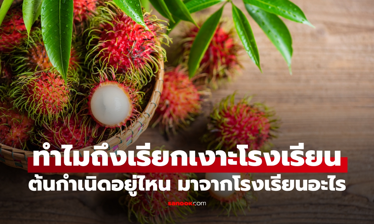 ต้นกำเนิดอยู่ไหน "ทำไมถึงเรียกเงาะโรงเรียน" มาจากโรงเรียนจริงไหม