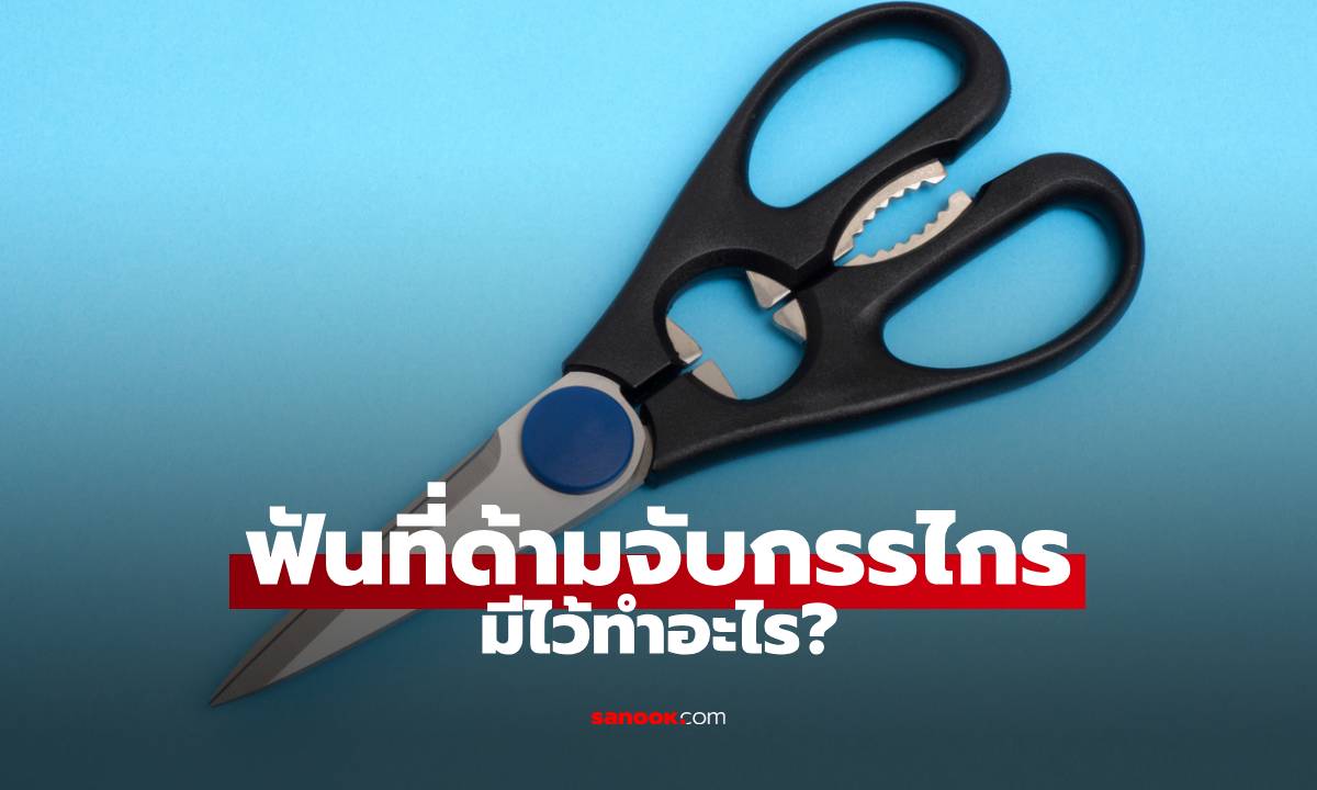 ภาพฟันที่ด้ามจับกรรไกร มีไว้ทำอะไร? ใช้มานานหลายคนเพิ่งจะรู้