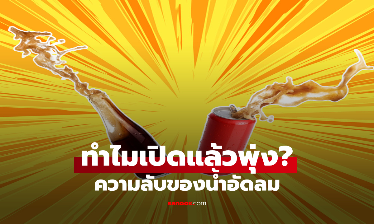 น้ำอัดลมโดนเขย่า ต้องรอกี่นาทีถึงเปิดได้? ไขคำตอบ ทำไมเปิดแล้วฟองพุ่ง