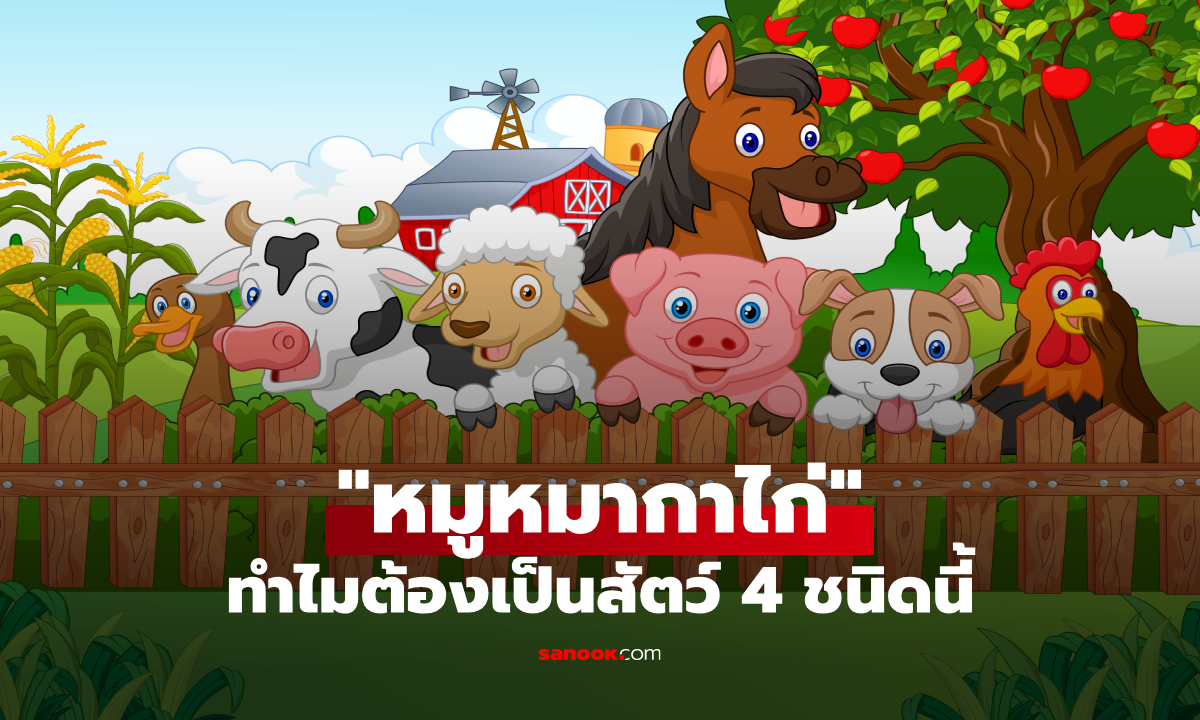 “หมูหมากาไก่” หมายถึงอะไร? เปิดความหมายสำนวนไทย ทำไมต้องเป็นสัตว์ 4 ชนิดนี้